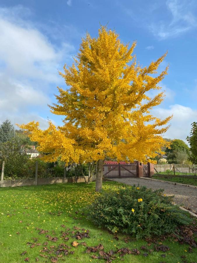 La Pommeraie 76 Saint-Ouen-sous-Bailly Eksteriør bilde